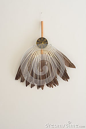 Goose feather fan Stock Photo